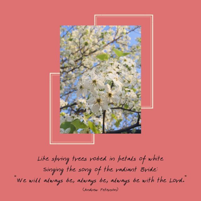 Today’s #themesongthursday features one of my all-time favorite artists, Andrew Peterson. He is brilliant and raw and brings me to tears with some of his lyrics. With spring just around the corner, I’ve been thinking a lot of nature & growth & rebirth and he is one of my favorite voices when it comes to connecting these themes with the gospel. And with Lent starting yesterday, I am especially loving his Resurrection Letters. Enjoy these lyrics from his song, “Remember Me” and leave a comment with your own theme song for the week - I LOVE new music recommendations!
•
“Who can ascend the hill of the Lord?
The one who utters no untrue word
Whose hands are clean, whose heart is pure
Who can ascend that hill?
•
There is none righteous, no not one
We are prodigal daughters and wayward sons
We don’t know the half of the hurt we’ve done
The countless we have killed.
•
Our priests are cheats, our prophets are liars -
We know what the Law requires
But we pile our sins up higher and higher
Who can ascend that hill?
•
And I am a sheep who has gone astray
I have turned aside to my own way
Have mercy on me, Son of David.
Lord, remember me when You come into Your Kingdom.”
#andrewpeterson #rememberme #fieldnotesfromawildflower #withloveandwanderlust