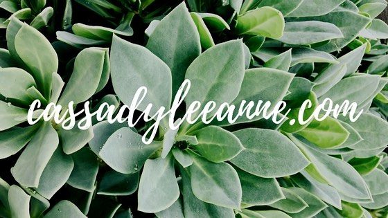 Friends!! I’m so excited to share that the old blog got a much-needed makeover!  I have learned SO much over the past several weeks in the process of creating a website that would better serve you as my friends and readers.  I’d love for you to head over to cassadyleeanne.com, take a look around, and let me know what you think! (link also in profile)
•
I’ve also learned a lot about writing, and decided to try something totally new for me!  My new devotional series called Field Notes from a Wildflower is all about helping us take a break from our busy and connect with God through the beauty of nature this spring.  It will be delivered straight to your inbox every Friday for the next six weeks starting...tomorrow!  If you’d like to learn more, you can go to my website and click on the “Field Notes from a Wildflower” page in the top menu bar.  I would love for you to join me in celebrating my favorite season!
#withloveandwanderlust
Cassady🌷
•
•
•
P.S.- thanks @hopewriters for all of the wisdom, encouragement, and help along the way! I love living this #hopewriterlife ✨
•
#fieldnotesfromawildflower #spring #springdevotional